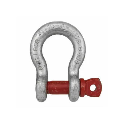 SHACKLE 1/4" SCREW PIN
