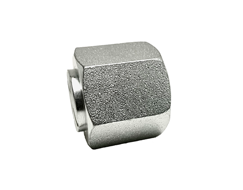 08 ORFS CAP ASSEMBLY INSERT